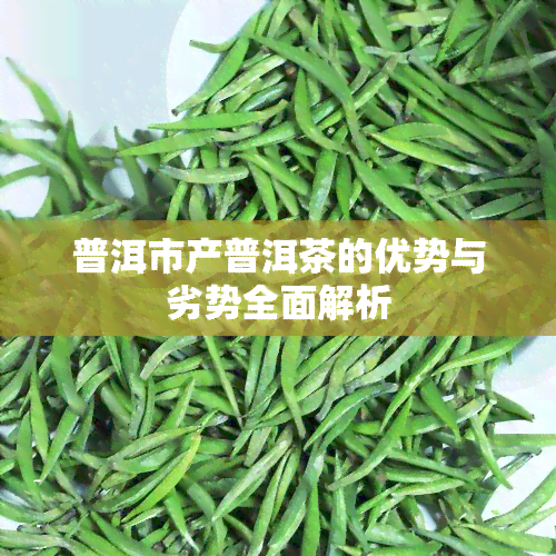 普洱市产普洱茶的优势与劣势全面解析