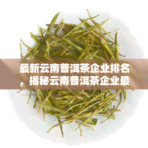 最新云南普洱茶企业排名，揭秘云南普洱茶企业最新排名，谁是市场领导者？