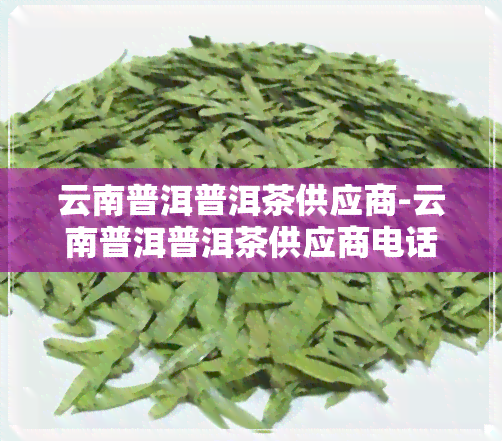 云南普洱普洱茶供应商-云南普洱普洱茶供应商电话