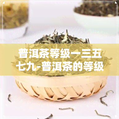 普洱茶等级一三五七九-普洱茶的等级1 到9级