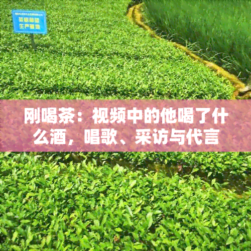 刚喝茶：视频中的他喝了什么，唱歌、采访与代言的茶