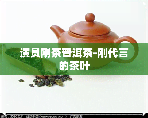 演员刚茶普洱茶-刚代言的茶叶