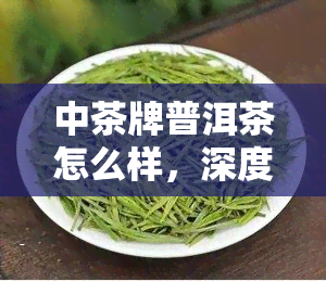 中茶牌普洱茶怎么样，深度解析：中茶牌普洱茶的品质与口感如何？