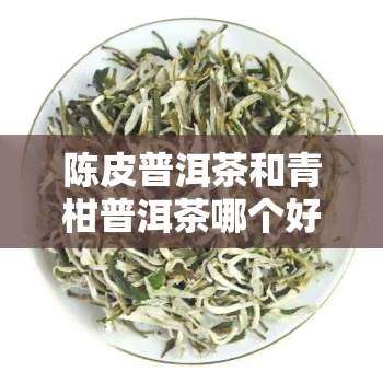 陈皮普洱茶和青柑普洱茶哪个好，口感对决：陈皮普洱茶与青柑普洱茶，你更偏好哪一个？