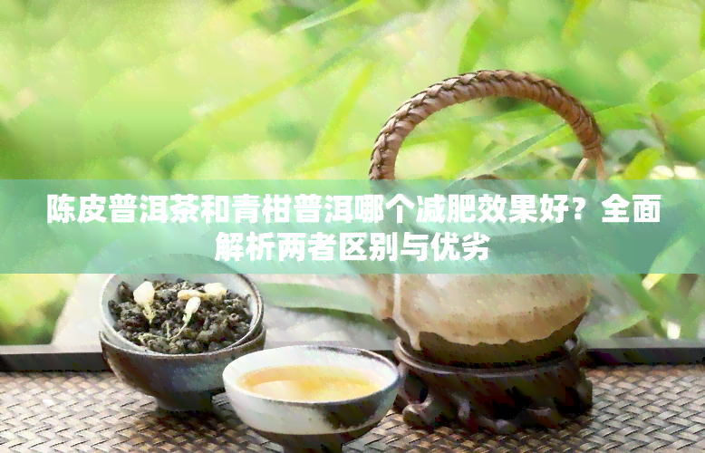 陈皮普洱茶和青柑普洱哪个减肥效果好？全面解析两者区别与优劣