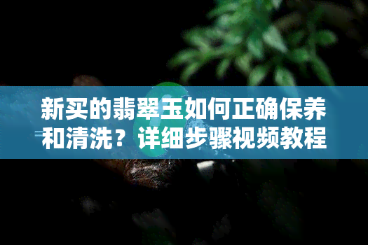 新买的翡翠玉如何正确保养和清洗？详细步骤视频教程