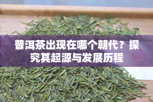 普洱茶出现在哪个朝代？探究其起源与发展历程