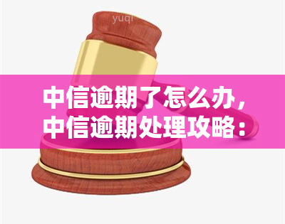 中信逾期了怎么办，中信逾期处理攻略：如何解决逾期问题？