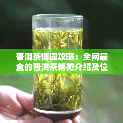 普洱茶博园攻略：全网最全的普洱茶博苑介绍及位置指南