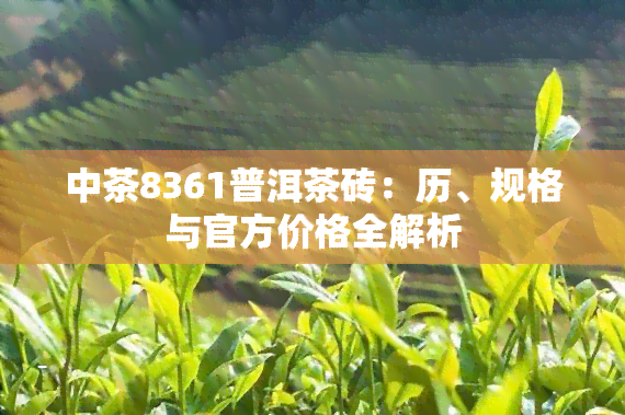 中茶8361普洱茶砖：历、规格与官方价格全解析