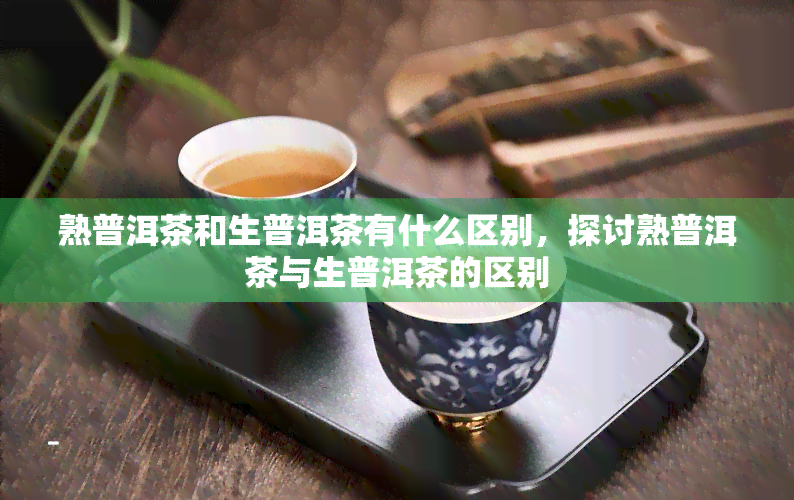 熟普洱茶和生普洱茶有什么区别，探讨熟普洱茶与生普洱茶的区别