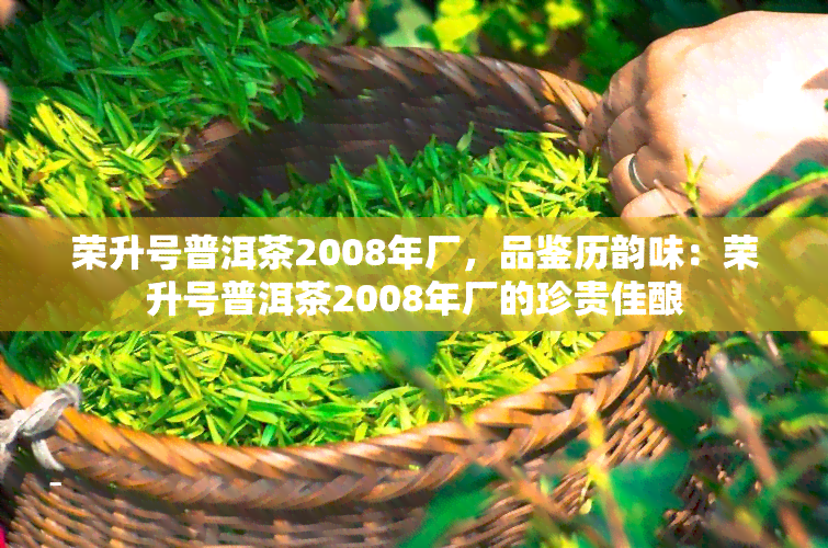 荣升号普洱茶2008年厂，品鉴历韵味：荣升号普洱茶2008年厂的珍贵佳酿