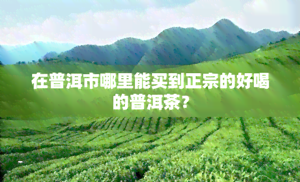 在普洱市哪里能买到正宗的好喝的普洱茶？