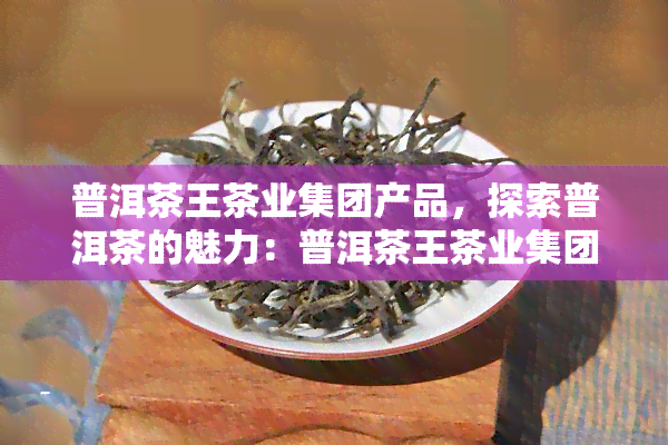 普洱茶王茶业集团产品，探索普洱茶的魅力：普洱茶王茶业集团产品的详细介绍