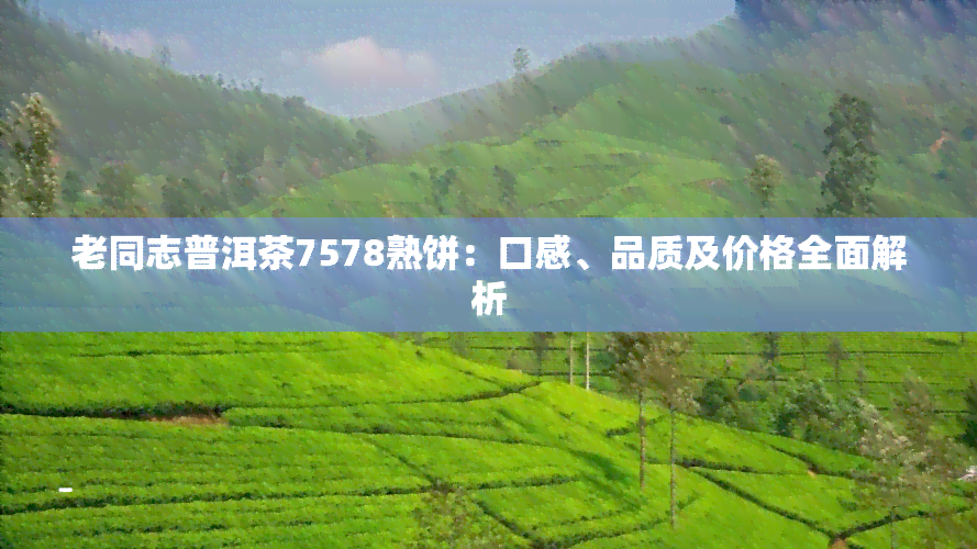 老同志普洱茶7578熟饼：口感、品质及价格全面解析