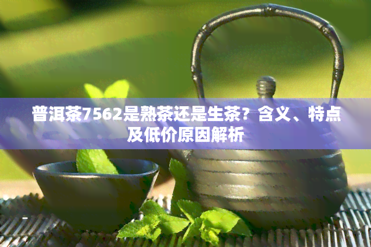 普洱茶7562是熟茶还是生茶？含义、特点及低价原因解析