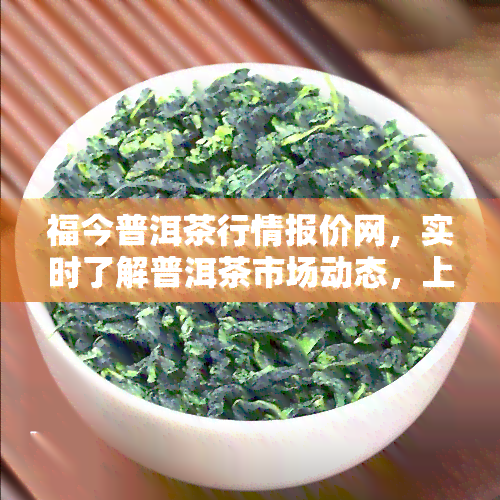 福今普洱茶行情报价网，实时了解普洱茶市场动态，上福今普洱茶行情报价网！