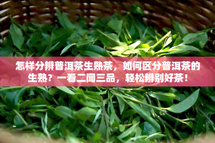 怎样分辨普洱茶生熟茶，如何区分普洱茶的生熟？一看二闻三品，轻松辨别好茶！