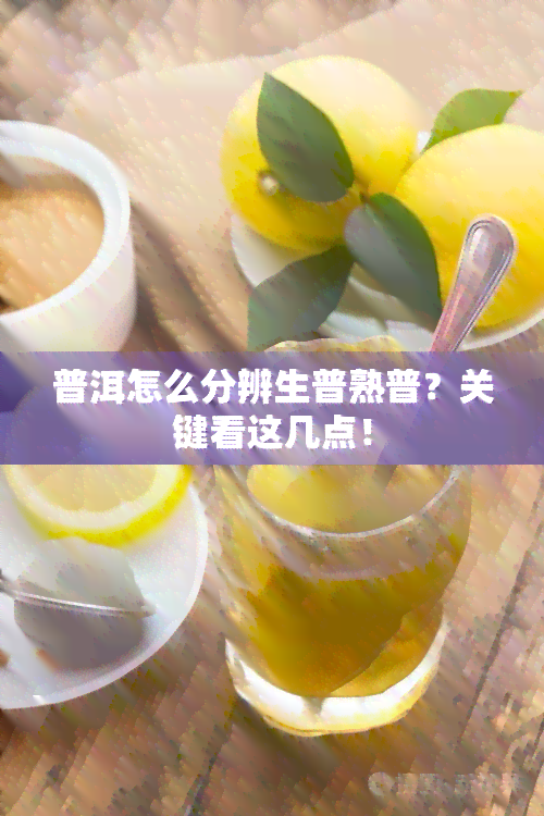 普洱怎么分辨生普熟普？关键看这几点！