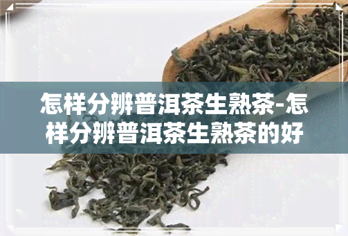 怎样分辨普洱茶生熟茶-怎样分辨普洱茶生熟茶的好坏