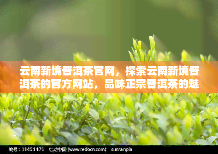 云南新境普洱茶官网，探索云南新境普洱茶的官方网站，品味正宗普洱茶的魅力