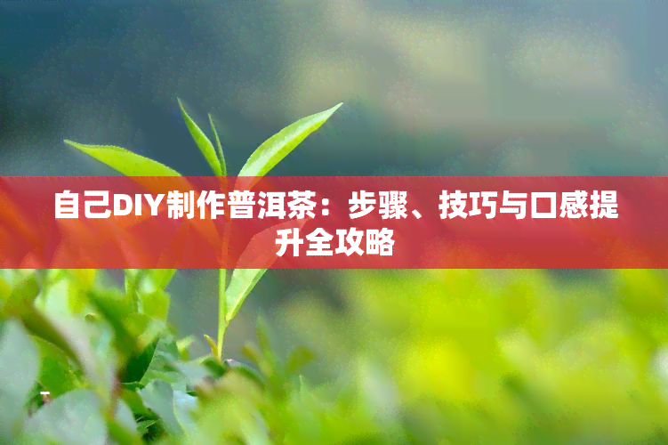 自己DIY制作普洱茶：步骤、技巧与口感提升全攻略