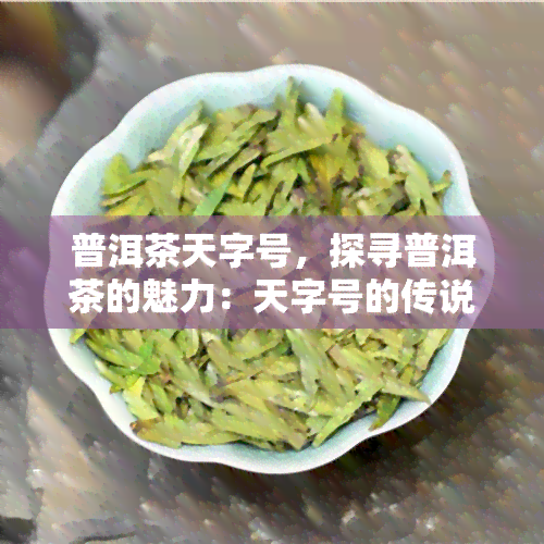 普洱茶天字号，探寻普洱茶的魅力：天字号的传说与故事