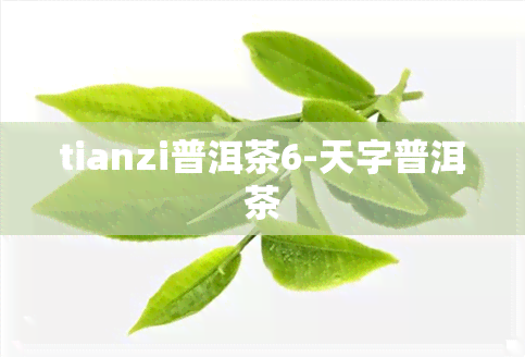 tianzi普洱茶6-天字普洱茶