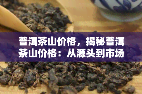 普洱茶山价格，揭秘普洱茶山价格：从源头到市场，一文看懂茶叶价值