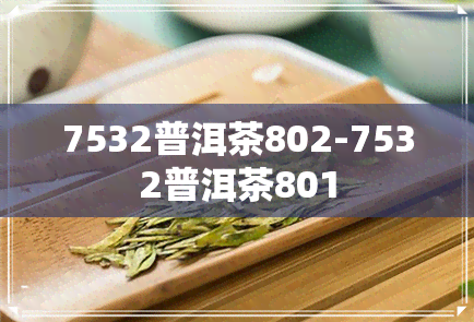 7532普洱茶802-7532普洱茶801