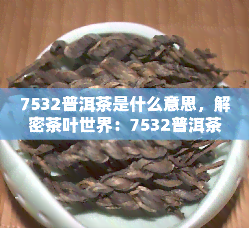 7532普洱茶是什么意思，解密茶叶世界：7532普洱茶的含义与特点