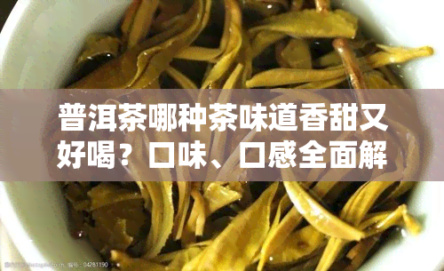 普洱茶哪种茶味道香甜又好喝？口味、口感全面解析