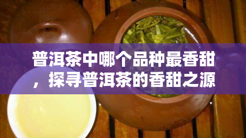 普洱茶中哪个品种最香甜，探寻普洱茶的香甜之源：哪种品种更具口感？