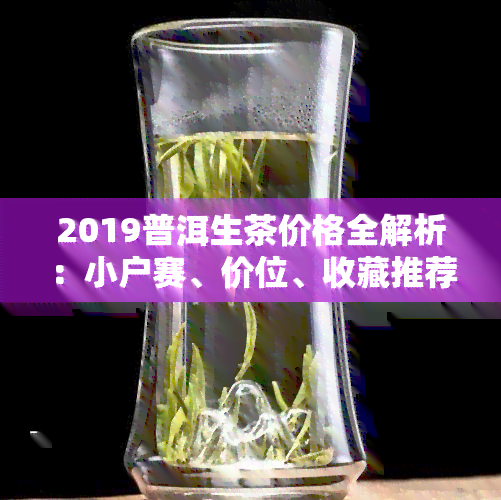 2019普洱生茶价格全解析：小户赛、价位、收藏推荐与2020、2021趋势