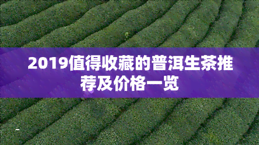 2019值得收藏的普洱生茶推荐及价格一览