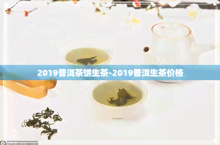 2019普洱茶饼生茶-2019普洱生茶价格