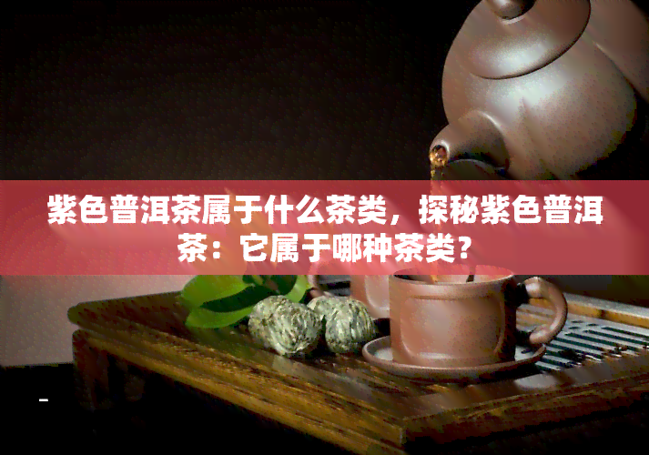 紫色普洱茶属于什么茶类，探秘紫色普洱茶：它属于哪种茶类？