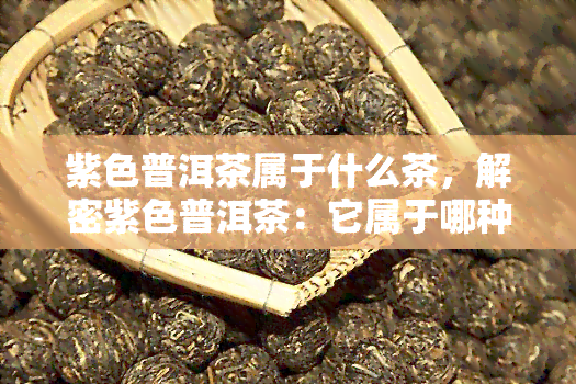 紫色普洱茶属于什么茶，解密紫色普洱茶：它属于哪种类型的茶？