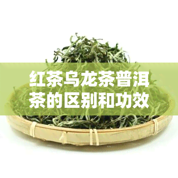 红茶乌龙茶普洱茶的区别和功效：一份全面指南