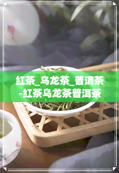 红茶_乌龙茶_普洱茶-红茶乌龙茶普洱茶的区别