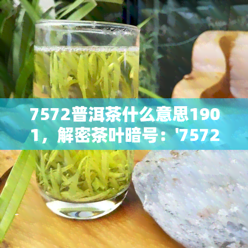 7572普洱茶什么意思1901，解密茶叶暗号：'7572普洱茶什么意思1901'