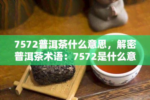 7572普洱茶什么意思，解密普洱茶术语：7572是什么意思？