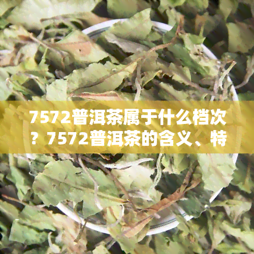 7572普洱茶属于什么档次？7572普洱茶的含义、特点与价格查询