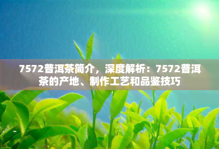 7572普洱茶简介，深度解析：7572普洱茶的产地、制作工艺和品鉴技巧