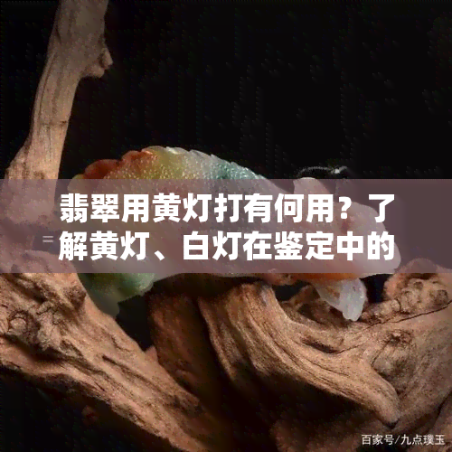 翡翠用黄灯打有何用？了解黄灯、白灯在鉴定中的区别及黄绿色、黄雾种的含义