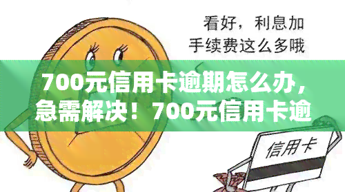 700元信用卡逾期怎么办，急需解决！700元信用卡逾期处理攻略