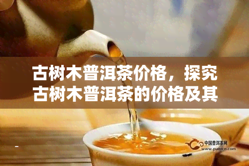 古树木普洱茶价格，探究古树木普洱茶的价格及其价值