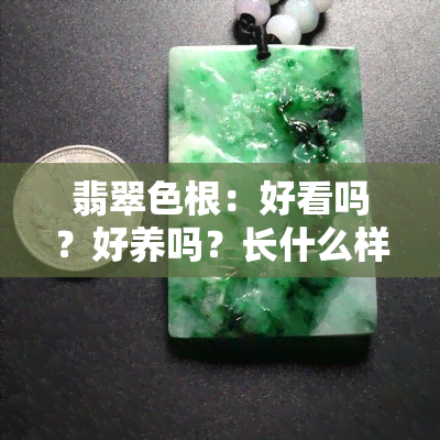 翡翠色根：好看吗？好养吗？长什么样？能化开吗？会影响价值吗？