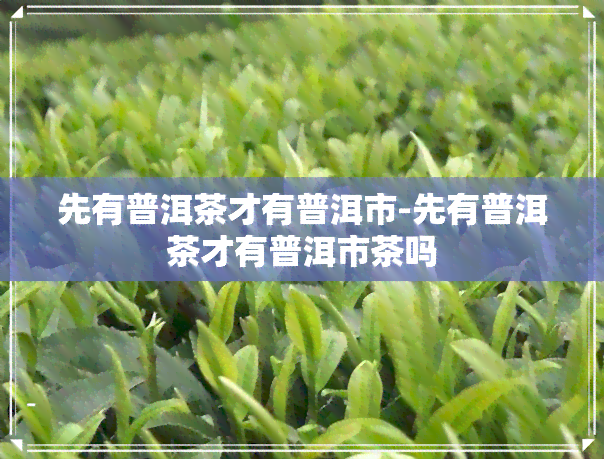 先有普洱茶才有普洱市-先有普洱茶才有普洱市茶吗