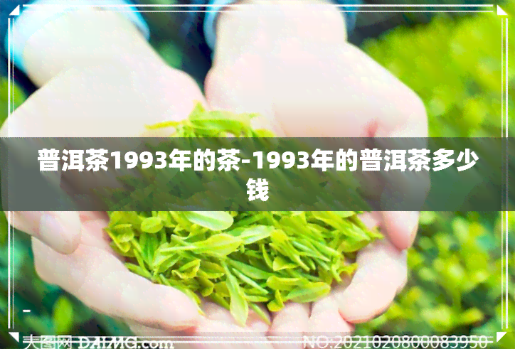 普洱茶1993年的茶-1993年的普洱茶多少钱